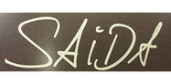 Saida - Die Haarmeisterin